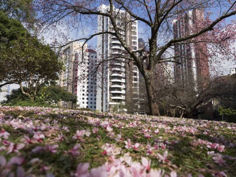 Compra de apartamento em Curitiba: três bairros excelentes para morar e investir | AGL Incorporadora